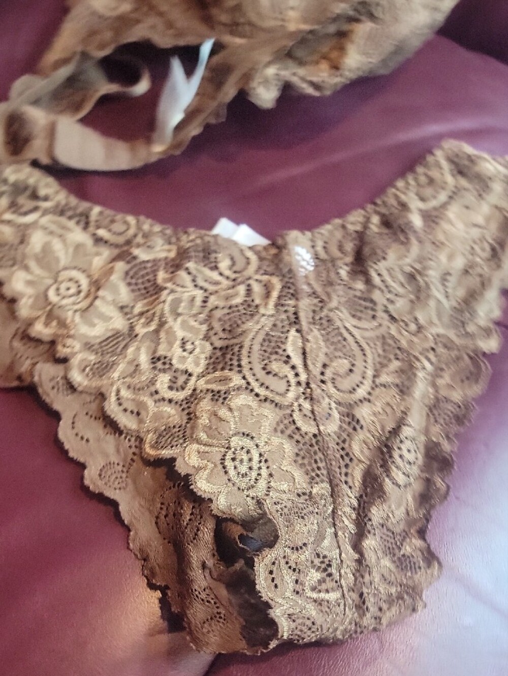 Gilligan & O'Malley Brown Lace Push-Up Bra and Lace Bikini Set - Picture 4 of 7